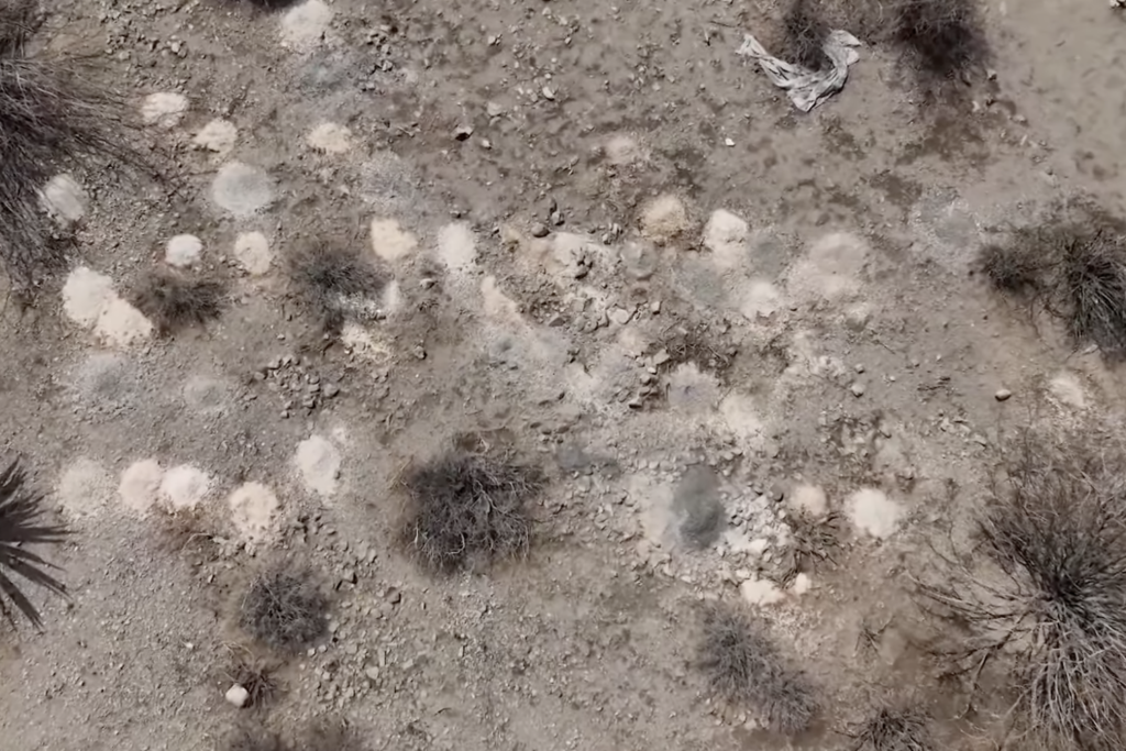 Cremated Remains From Over 100+ Dead Bodies Found Near Las Vegas